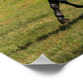 Bob Langrish | Baai van Lusitano Mare nabij het me Poster (Hoek)