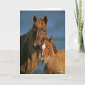 Bob Langrish | Banker Pony Mare and Foal Headshot Kaart (Voorkant)