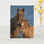 Bob Langrish | Banker Pony Mare and Foal Headshot Kaart (Gele Bloem)