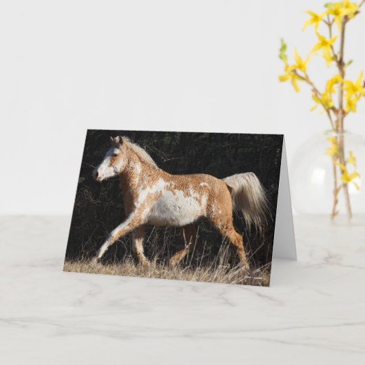 Bob Langrish Bashkir Curly Horse Stallion Walking Kaart (Gele Bloem)