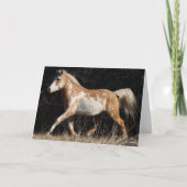 Bob Langrish Bashkir Curly Horse Stallion Walking Kaart (Voorkant)