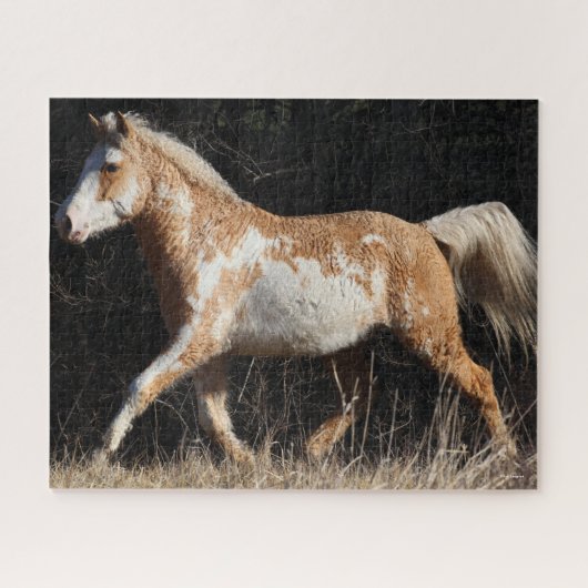 Bob Langrish Bashkir Curly Horse Stallion Walking Legpuzzel (Horizontaal)