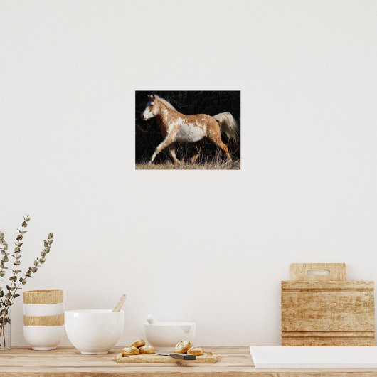 Bob Langrish Bashkir Curly Horse Stallion Walking Poster (Keuken)