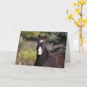 Bob Langrish | Bashkir Curly Mare-headshot Kaart (Gele Bloem)