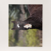 Bob Langrish | Bashkir Curly Mare-headshot Legpuzzel (Verticaal)