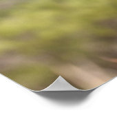 Bob Langrish | Bashkir Curly Mare-headshot Poster (Hoek)