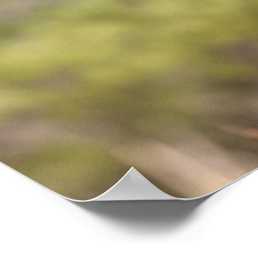 Bob Langrish | Bashkir Curly Mare-headshot Poster (Hoek)