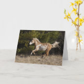 Bob Langrish | Bashkir Curly Stallion Running Kaart (Gele Bloem)