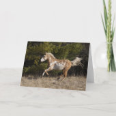 Bob Langrish | Bashkir Curly Stallion Running Kaart (Voorkant)