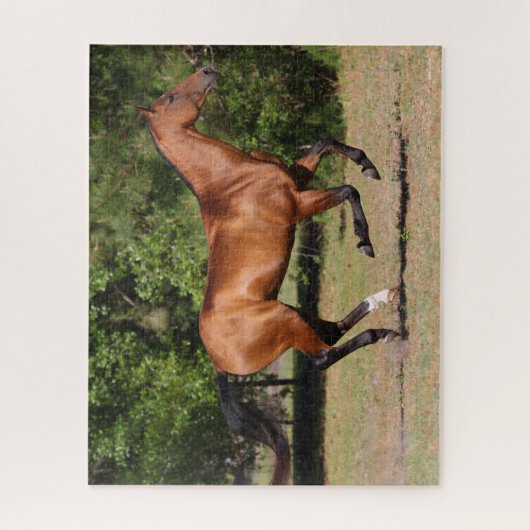 Bob Langrish | Bay Akhal Teke Stallion Running Legpuzzel (Verticaal)
