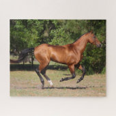 Bob Langrish | Bay Akhal Teke Stallion Running Legpuzzel (Horizontaal)
