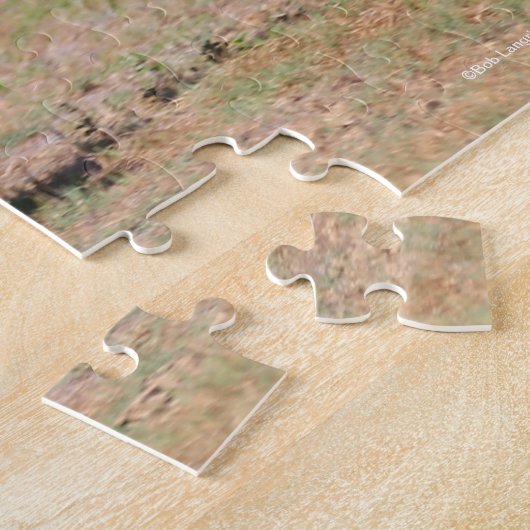 Bob Langrish | Bay Akhal Teke Stallion Running Legpuzzel (Zijkant)