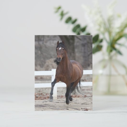 Bob Langrish | Bay Andalucian Stallion Running Briefkaart (Staand voorkant)
