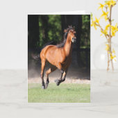 Bob Langrish | Bay Tennessee Walker Running Kaart (Gele Bloem)