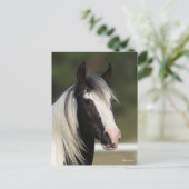 Bob Langrish Black and White Gypsy Vanner headshot Briefkaart (Staand voorkant)