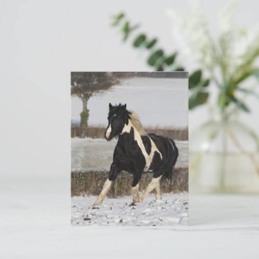 Bob Langrish Black and White Welsh Cob in the Snow Briefkaart (Staand voorkant)