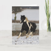 Bob Langrish Black and White Welsh Cob in the Snow Kaart (Voorkant)