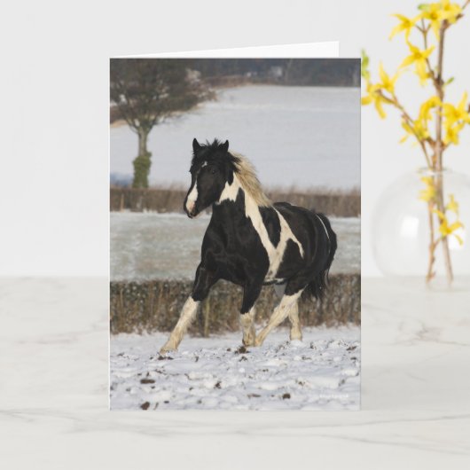 Bob Langrish Black and White Welsh Cob in the Snow Kaart (Gele Bloem)