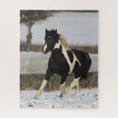Bob Langrish Black and White Welsh Cob in the Snow Legpuzzel (Verticaal)
