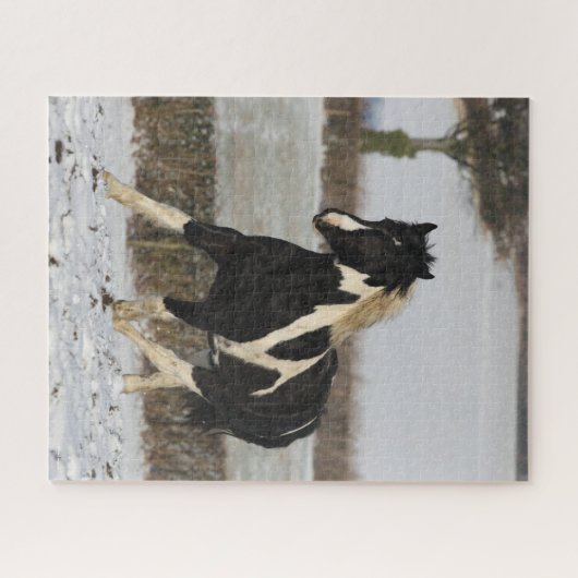 Bob Langrish Black and White Welsh Cob in the Snow Legpuzzel (Horizontaal)