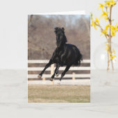 Bob Langrish | Black Andalucian Horse Running Kaart (Gele Bloem)