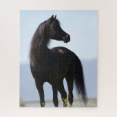 Bob Langrish | Black Arab Stallion Standing Legpuzzel (Verticaal)