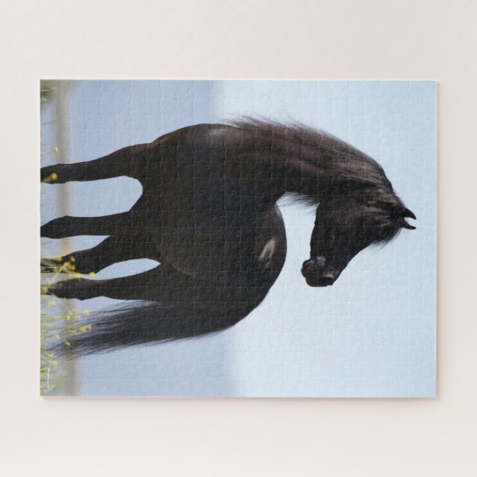 Bob Langrish | Black Arab Stallion Standing Legpuzzel (Horizontaal)