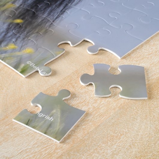 Bob Langrish | Black Arab Stallion Standing Legpuzzel (Zijkant)