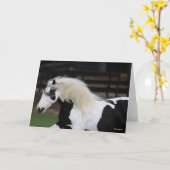 Bob Langrish Black en White Gypsy Vanner Headshot Kaart (Gele Bloem)