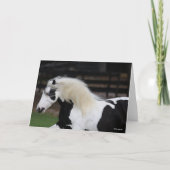 Bob Langrish Black en White Gypsy Vanner Headshot Kaart (Voorkant)