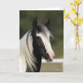 Bob Langrish Black en White Gypsy Vanner headshot Kaart (Gele Bloem)