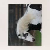 Bob Langrish Black en White Gypsy Vanner Headshot Legpuzzel (Verticaal)