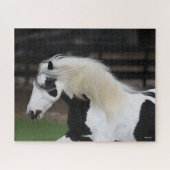 Bob Langrish Black en White Gypsy Vanner Headshot Legpuzzel (Horizontaal)