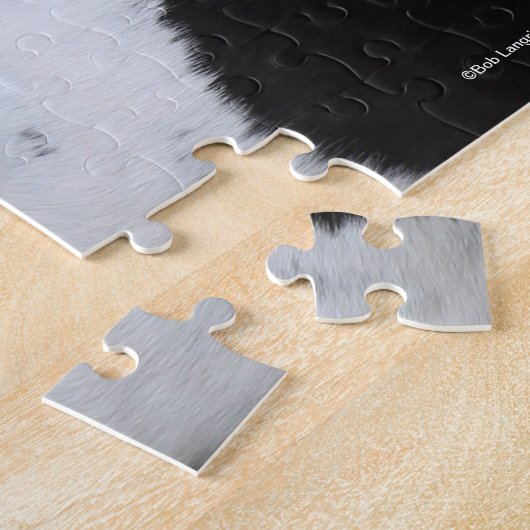 Bob Langrish Black en White Gypsy Vanner Headshot Legpuzzel (Zijkant)