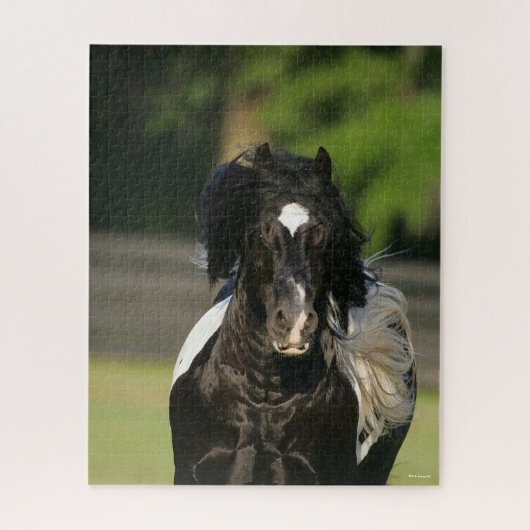 Bob Langrish Black en White Gypsy Vanner Headshot Legpuzzel (Verticaal)