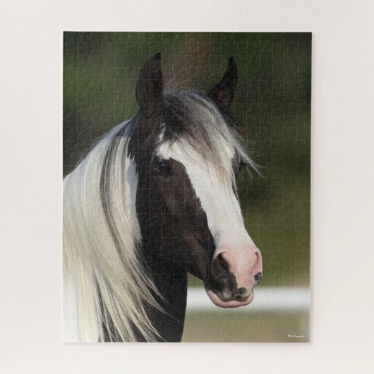 Bob Langrish Black en White Gypsy Vanner headshot Legpuzzel (Verticaal)