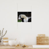 Bob Langrish Black en White Gypsy Vanner Headshot Poster (Keuken)