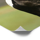 Bob Langrish Black en White Gypsy Vanner Headshot Poster (Hoek)