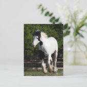 Bob Langrish Black en White Gypsy Vanner Running Briefkaart (Staand voorkant)