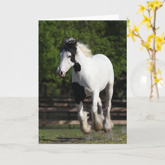 Bob Langrish Black en White Gypsy Vanner Running Kaart (Gele Bloem)