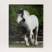 Bob Langrish Black en White Gypsy Vanner Running Legpuzzel (Verticaal)
