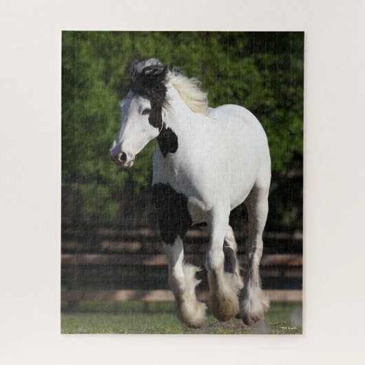 Bob Langrish Black en White Gypsy Vanner Running Legpuzzel (Verticaal)