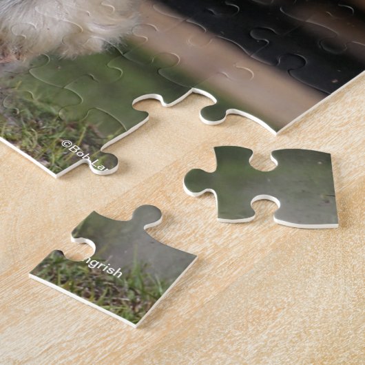 Bob Langrish Black en White Gypsy Vanner Running Legpuzzel (Zijkant)