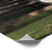 Bob Langrish Black en White Gypsy Vanner Running Poster (Hoek)