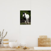 Bob Langrish Black en White Gypsy Vanner Running Poster (Keuken)