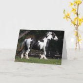 Bob Langrish Black en White Gypsy Vanner Walking Kaart (Gele Bloem)