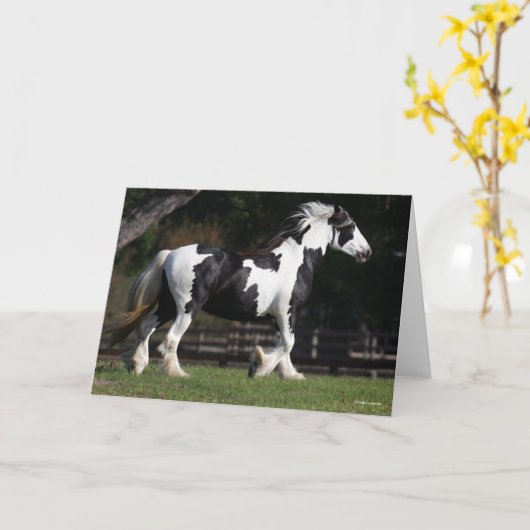 Bob Langrish Black en White Gypsy Vanner Walking Kaart (Gele Bloem)