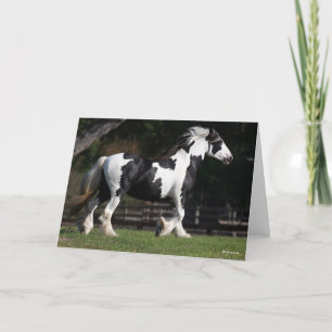 Bob Langrish Black en White Gypsy Vanner Walking Kaart