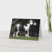 Bob Langrish Black en White Gypsy Vanner Walking Kaart (Voorkant)