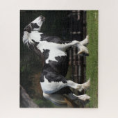 Bob Langrish Black en White Gypsy Vanner Walking Legpuzzel (Verticaal)